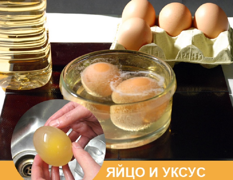 Рецепт яйцо уксус масло. Яйцо в уксусной кислоте. Яйцо в уксусе. Куриное яйцо в уксусе.