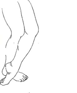 Мышцы сгибающие и разгибающие пальцы ног