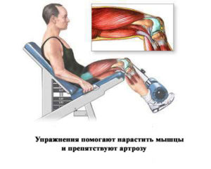 Упражнения для наращивания мышц