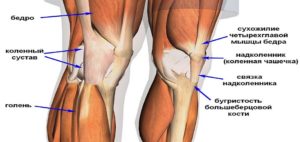 Разрыв сухожилий коленного сустава лечение