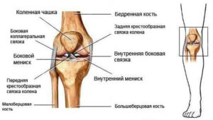 Подкожная гематома коленного сустава