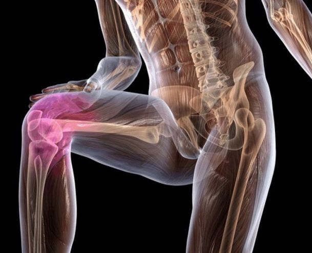 Укрепление мышц коленного сустава