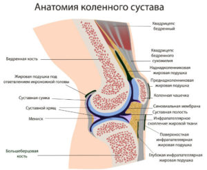 Мясников про артроз