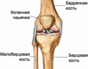 Замена коленного сустава реабилитация после операции отзывы