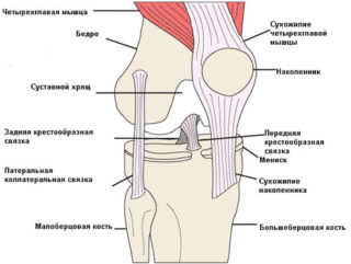 Растяжка связок коленного сустава
