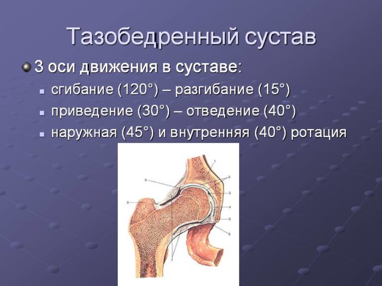 Максимальное сгибание конечности в суставе фото