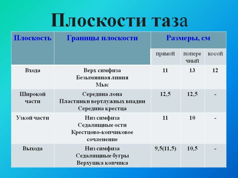 Размеры женского таза: норма параметров и измерение у беременных