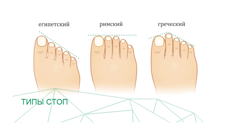 Пенис между ягодиц фото