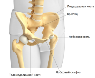 Отек области лобковой кости
