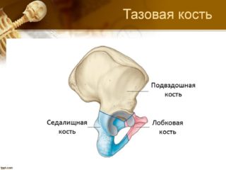 Перелом лобковой кости последствия