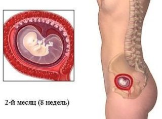 Живот виден на 2 месяце беременности