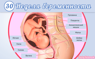 30 неделя беременности резкие боли внизу живота thumbnail