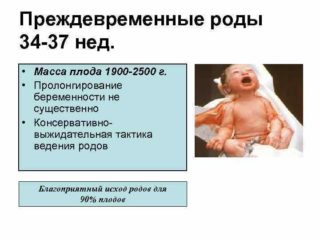 Тяжесть внизу живота при беременности на ранних сроках