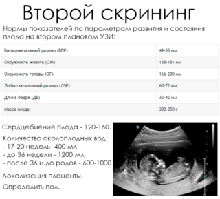 Ноющие боли внизу живота на 12 неделе беременности thumbnail