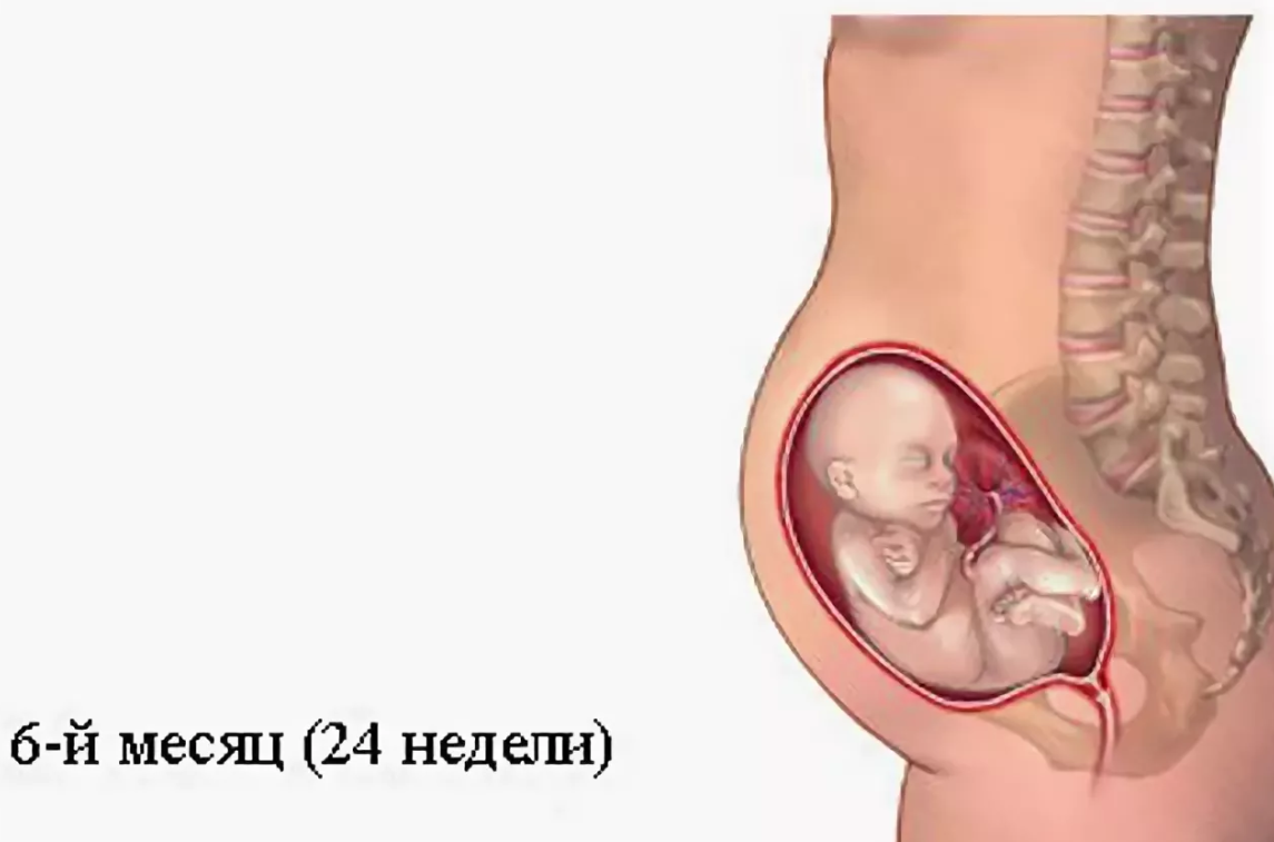 7 недель беременности болит живот