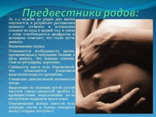 Тянет живот на последнем месяце беременности 17