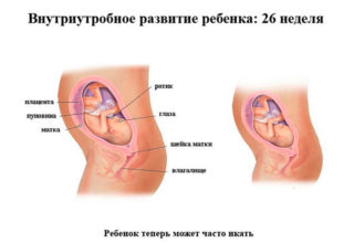 Схваткообразные боли внизу живота на 26 неделе беременности