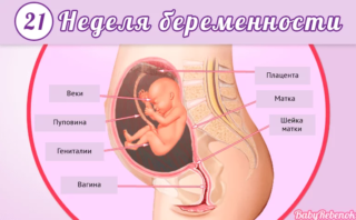 Почему колит внизу живота при беременности на 21 неделе беременности thumbnail