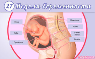 Боли в пояснице и внизу живота при беременности на 27 неделе беременности thumbnail