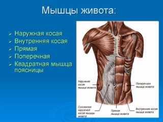 Диастаза прямых мышц живота мкб 10 код