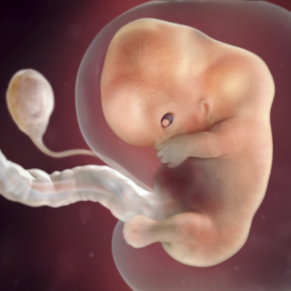 Почему при беременности болит низ живота 8 недель беременности thumbnail