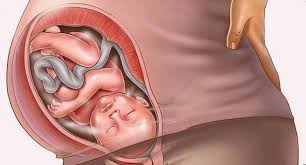 Болит живот как при месячных во время беременности 39 недель