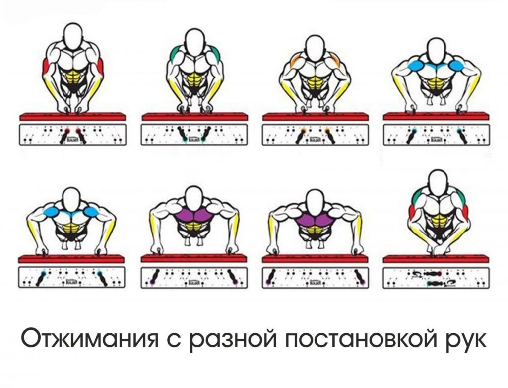 Накачаться за счет отжиманий за месяц