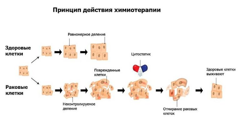 Схема ас химиотерапии при раке молочной железы