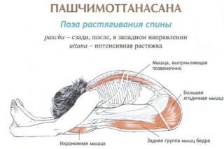 После упражнений болят мышцы спины