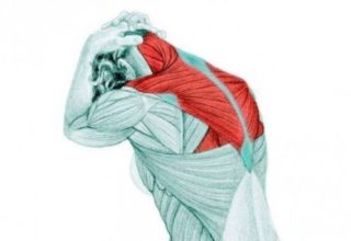 Боль под правой лопаткой сзади со спины причины отдает в правую руку