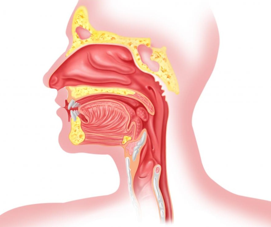 Что делать, если трудно дышать, тяжесть в грудной клетке посередине и ком в горле