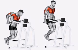 Как правильно отжиматься для мышц спины