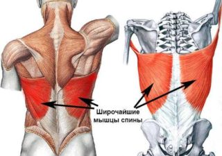 Укрепление широчайшей мышцы спины дома
