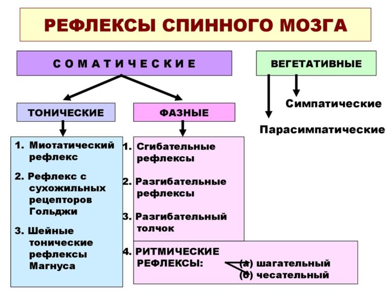 Кинестетические моторные автоматизмы