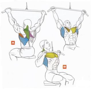 Упражнения на широчайшие мышцы спины в домашних условиях без тренажеров