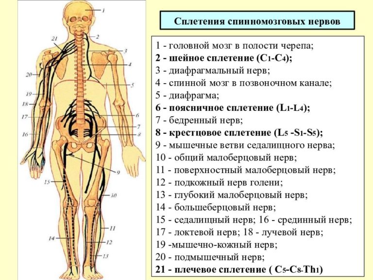 Как твои дела шумный город предел нервов и кругом голова