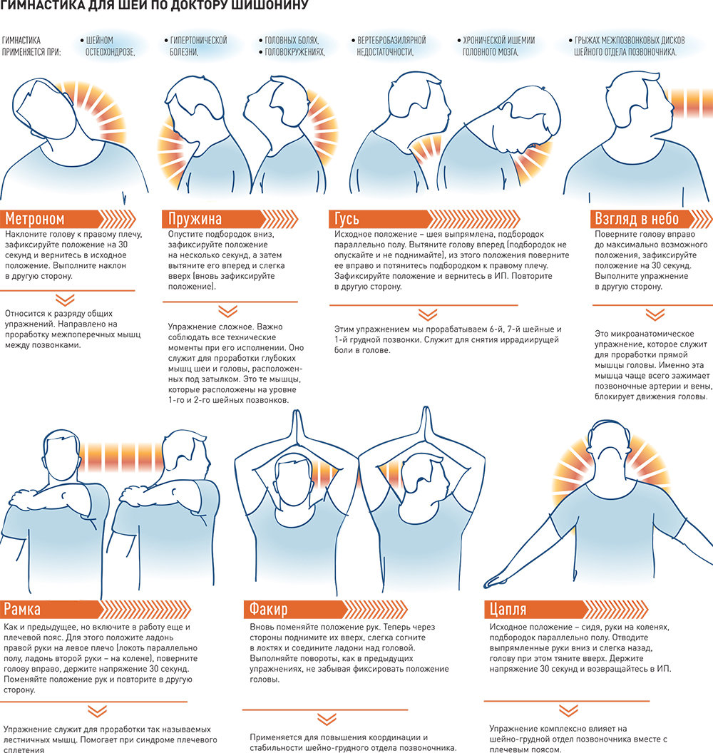 Гимнастика для шеи доктора шишонина без музыки