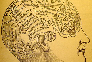 Френология в картинках
