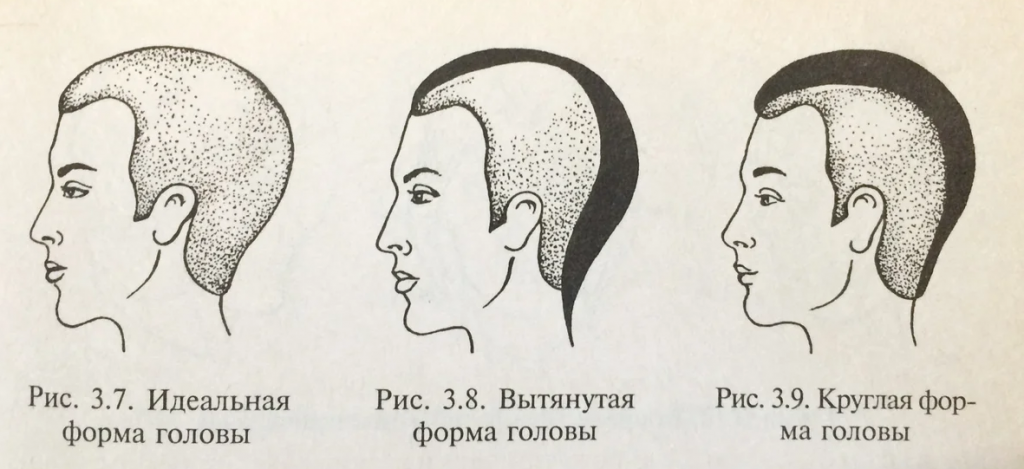 Части головы человека названия фото