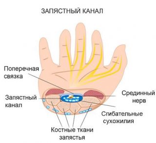 Шрамы на запястье фото