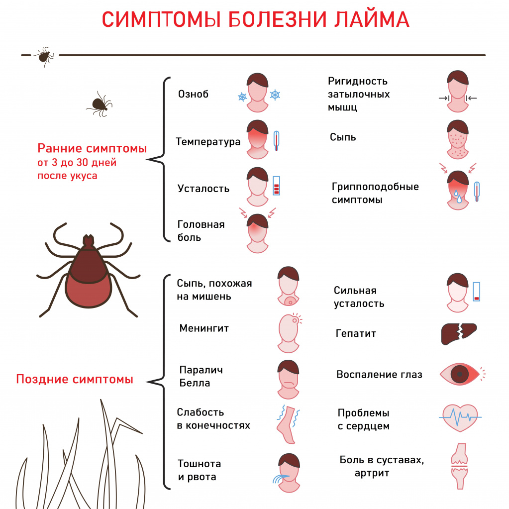 Рено болезнь что такое