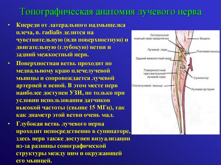 Признаки моторной нейропатии